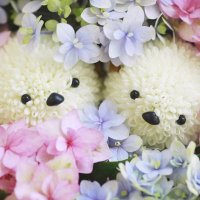 シマちゃん・▴・お花のシマエナガ (@shimachan_ohana) Twitter profile photo