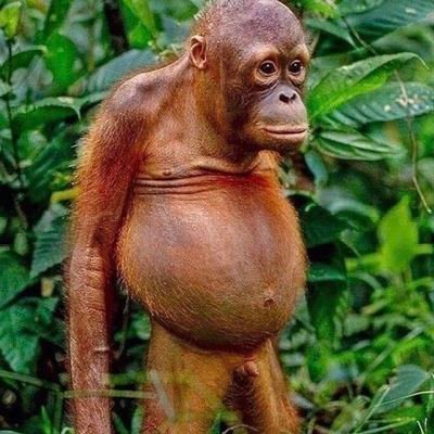 burkenstockj's profile picture. Ein Ort der absoluten Finsternis