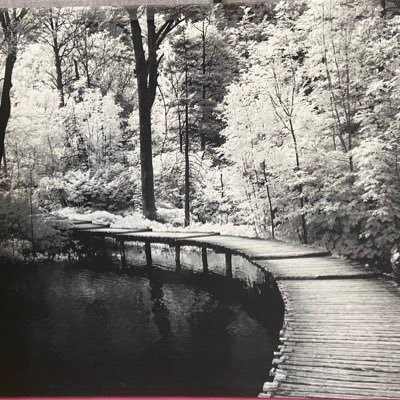 zemlak_tanya's profile picture. 