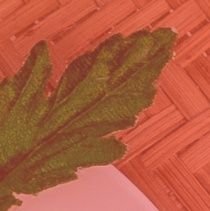 ngelbudz's profile picture. Be Yourself