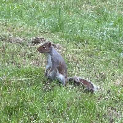 twin_parad0x's profile picture. 
