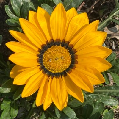 MADHAVD86568559's profile picture. Entrepreneur