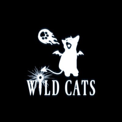 take_wildcats's profile picture. 