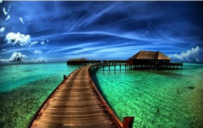 AdelAldrssi's profile picture. 