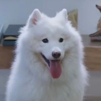 yuki ❄️ (@yukio2x) 's Twitter Profile