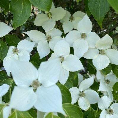 Takip edeni takip ediyorum ); https://t.co/GO5edkaKHi.