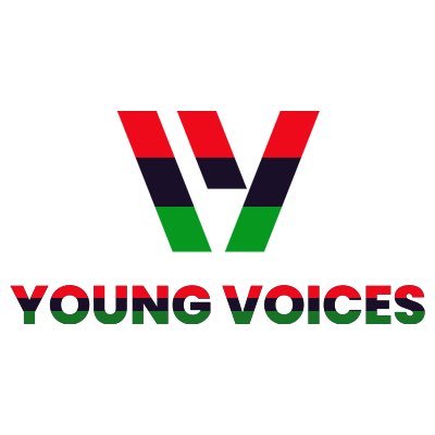 Our organization was created in 2006 to address the desperate need for an authentic youth voice in policy-making in Rhode Island.