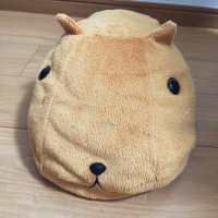 やのまさ (@masayano_) 's Twitter Profile Photo やのまさ (@masayano_) 's Twitter Profile Photo