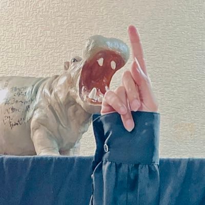 🪡花晨🎈さんのプロフィール画像