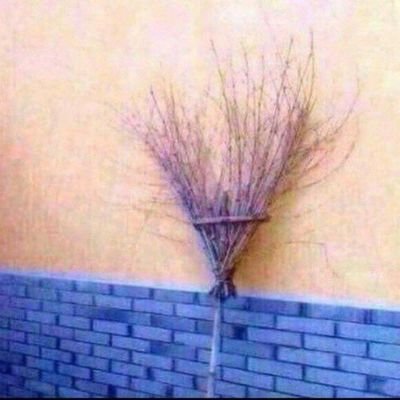 sn22n's profile picture. 