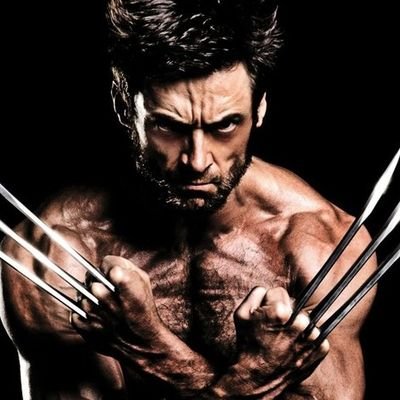 wolvramium's profile picture. 