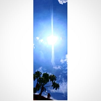 jayashdesh's profile picture. work hard won't let anyone bow down