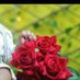 Hassan Sayed (@hassans15892437) Twitter profile photo Hassan Sayed (@hassans15892437) Twitter profile photo