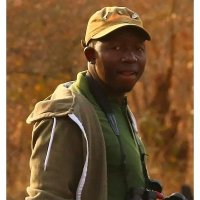 birdinggambiasenegal.com (@ansudunor) 's Twitter Profile