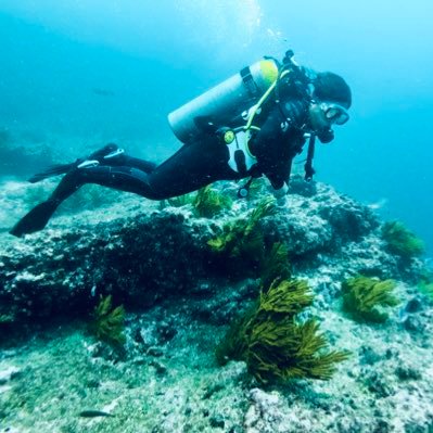 Marine Biologist @UdeC MEnvSc @UofT Focused on ecosystem ecology in a changing climate @ESPOL #nobluenogreen #nooceannolife -S.E