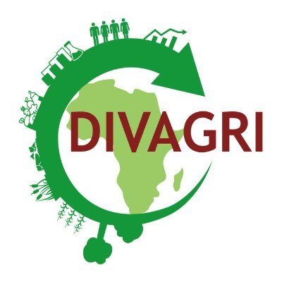 The project DIVAGRI contributes to revenue diversification pathways in rural Africa via delivering accessible bio-based and circular agricultural solutions