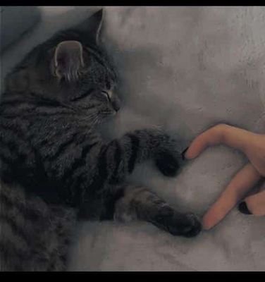 Fesap4's profile picture. Peace above everything 😘❤️