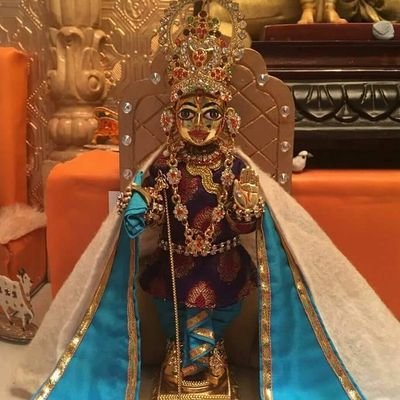 ShrutiThakkar5's profile picture. 