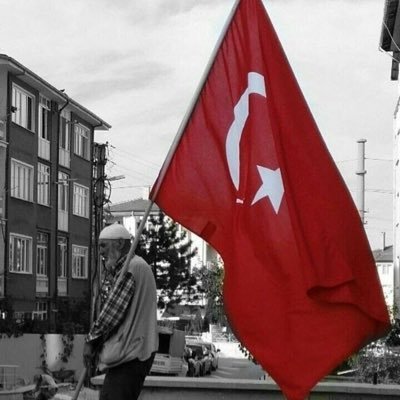 YunusEm81975434's profile picture. 