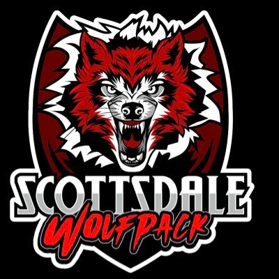 Scottsdale Wolfpack Basketball is a professional basketball team playing in the @unitedmensba 
United Mens Basketball Association 2024 November