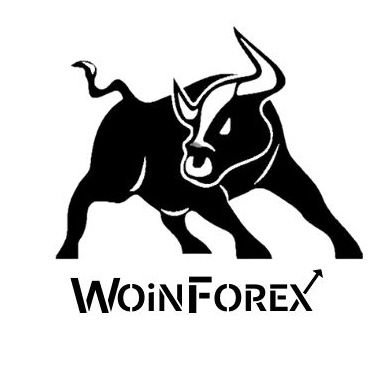 Woin FX Yatırım Menkul Değerler A.Ş.
| Resmi Twitter Hesabı |
2022 / 1Ç Müşteri Kar/Zarar 35.16% / 64.84%