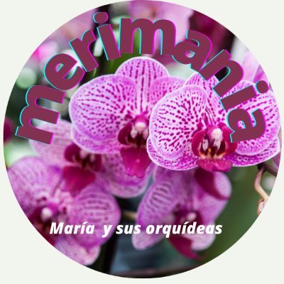 FofuchasFactory's profile picture. Fabricamos fofuchas personalizadas artesanales y cultivamos #orquideas