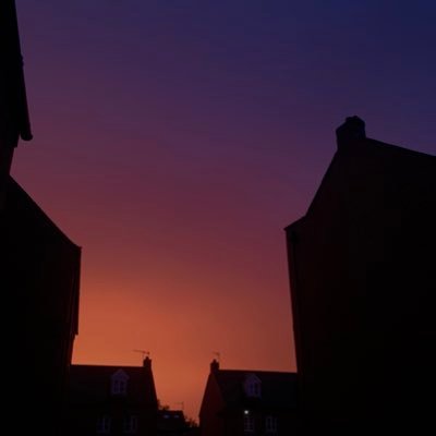 userbigfatrat's profile picture. twitter scares me asf