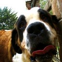 Enrique Olalde - @eolalder - Twitter