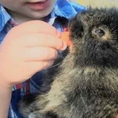 robloxrules12_'s profile picture. 