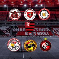 Organizadas Flamengo(@OrganizadasCRF) 's Twitter Profileg