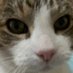 poolpur (@poolpurr) Twitter profile photo poolpur (@poolpurr) Twitter profile photo