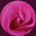 السنافية (@sboog2021) Twitter profile photo السنافية (@sboog2021) Twitter profile photo
