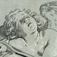 m. perestrelo (@pallestrelli) 's Twitter Profile