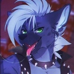 Jackcouli's profile picture. Torna-te  quem tu és.

Friedrich Nietzsche