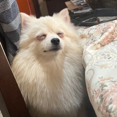 YarlenGaron's profile picture. muita fé ✝️