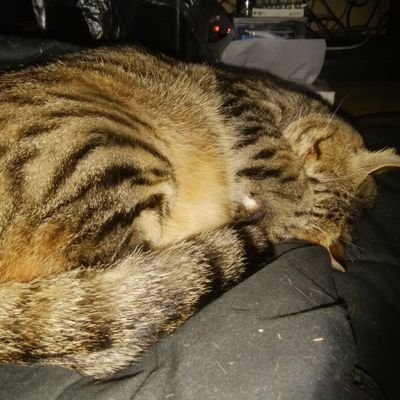 1GTDjR7FunpAiKw's profile picture. 