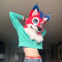 Superdry Femboyfox (@spirou333_ad) 's Twitter Profile