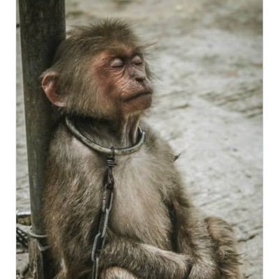 AhmadHmas4's profile picture. أربعيني مرحبا مليون