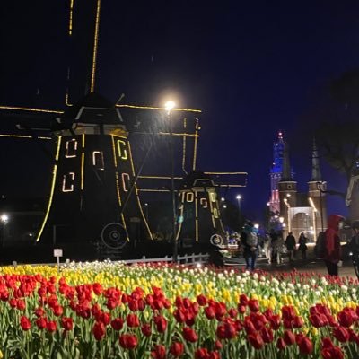 kyuuri_Aimer's profile picture. Aimerさんファンアカウント /BeN会員/rouge de bleu大阪1day/Walpurgisnacht神戸1day大阪2days/Cycle de 10 ans大阪2days/🐢