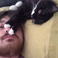 the loathsome dung eater (@_coldnostalgia) 's Twitter Profile