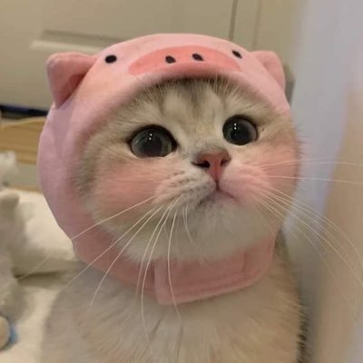 hinatomiii's profile picture. 