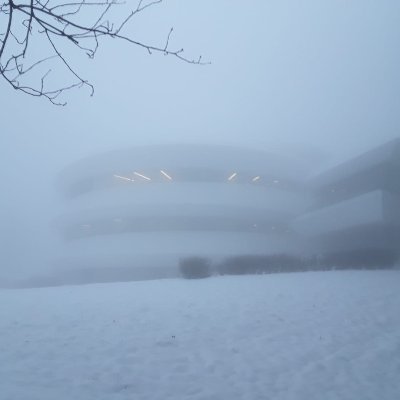 Novikov_rasta's profile picture. Zeitreisender.