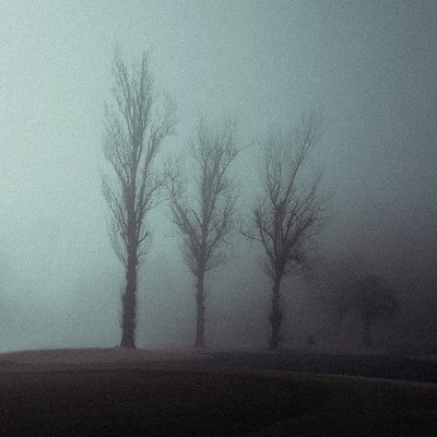 wattway_'s profile picture. Cinematographer based in Tokyo