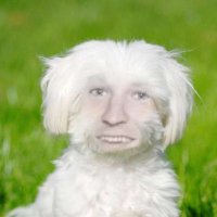 Luke McKernan (@lukemckernan1) 's Twitter Profile