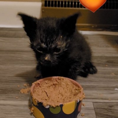 Victory4ppl's profile picture. Here for the books. #booknerd