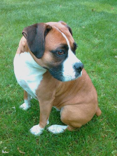 Sam__Mckenna's profile picture. 