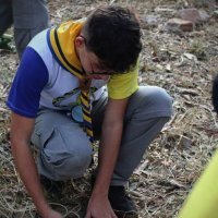 matheus / mu UFSCAR SOROCABA (@omeninodocafe) 's Twitter Profile
