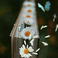 السلطانة (@xr49cwnfnq563zg) Twitter profile photo