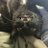 nomis_ton's profile image