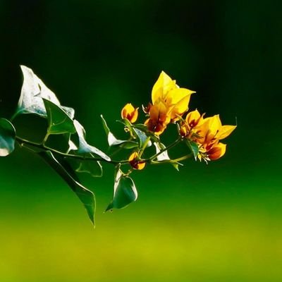 💌....  💦💦🌿

#BeUnique
